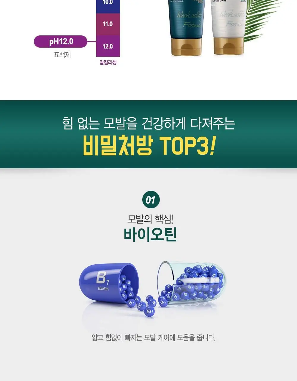 [광고비_안태운_품질] 포레스트스토리 B7 안티 헤어 로스 샴푸 200ml 상세페이지 8